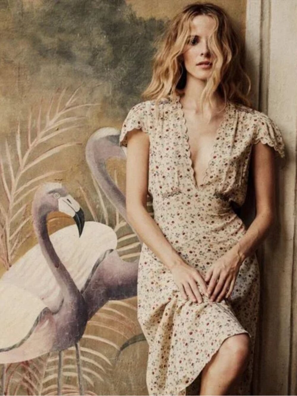 NWT Doen Adra Dress Papillon Floral